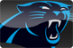 Carolina Panthers