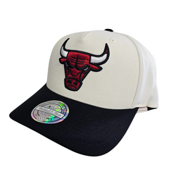 Mitchell & Ness 110 Go Team Go MVP Snapback Chicago Bulls
