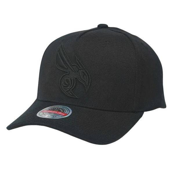 Charlotte Hornets All Black Team Logo Snapback - Black