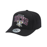 NHL Arch Logo Pro Crown  - Anaheim Mighty Ducks