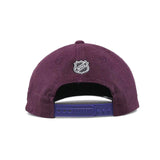 NHL Team Logo DS - Anaheim Mighty Ducks Purple